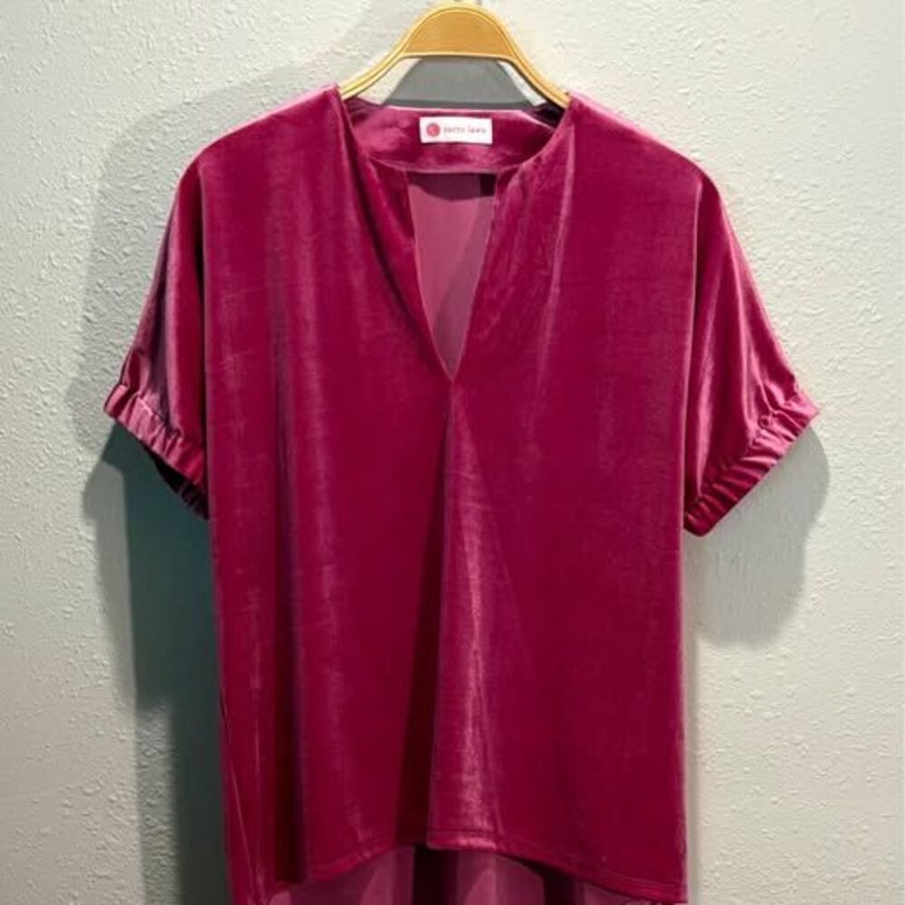 Caryn Lawn "Betsy" Velvet Short Sleeve Top - One Size (Fits 4-12)